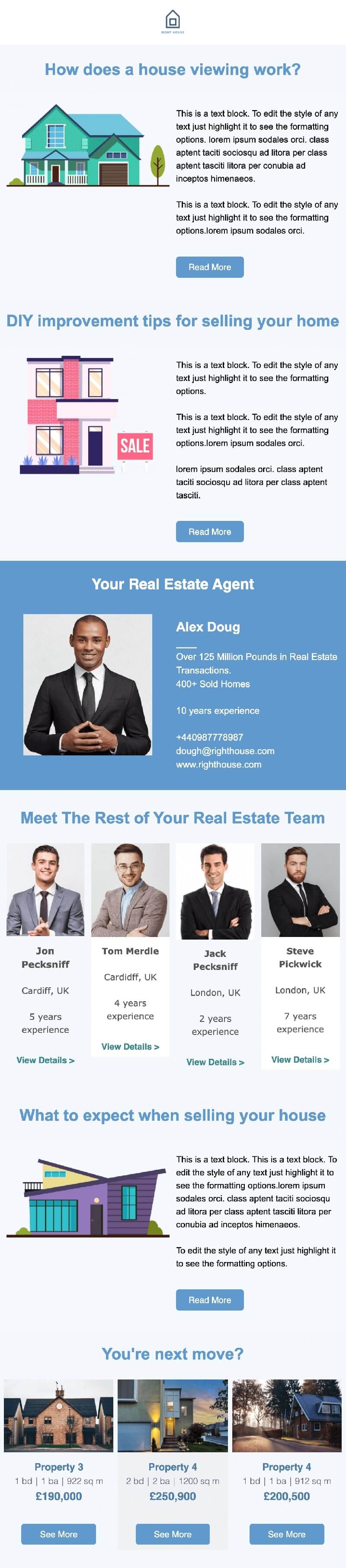 Real Estate Newsletter Template example