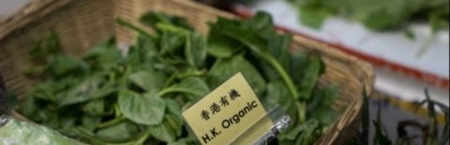 CHINA DAILY: Organic wordplay [有機食品字謎]