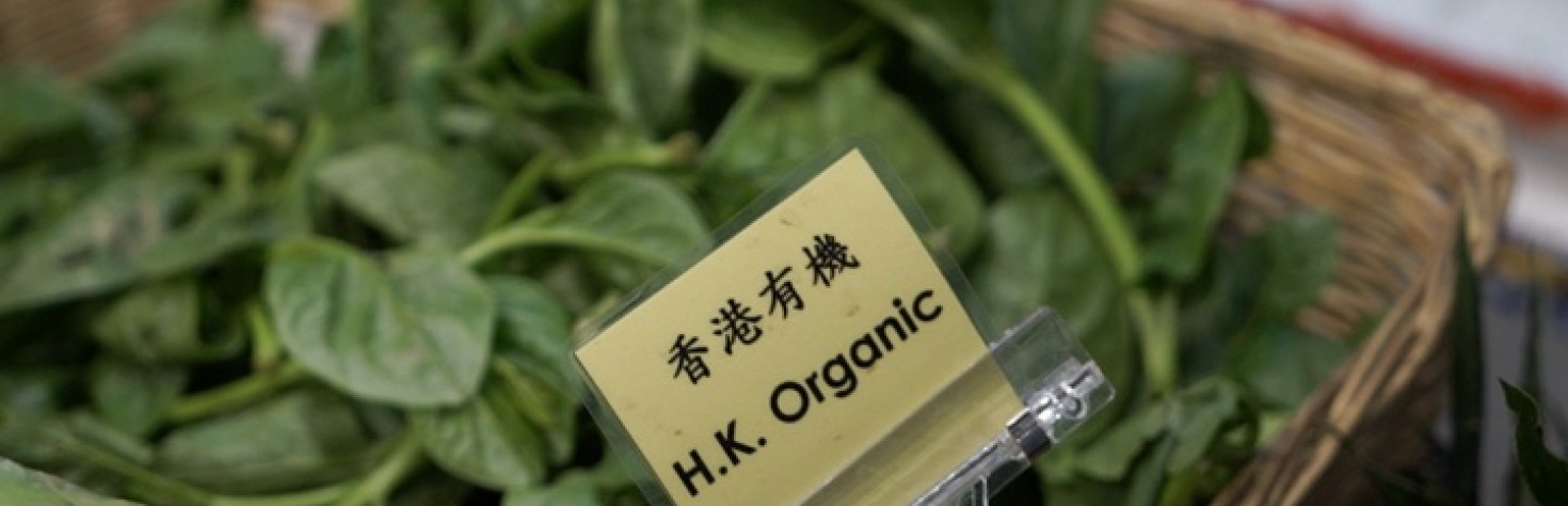 Organic Wordplay 丨 Video - China Daily Asia