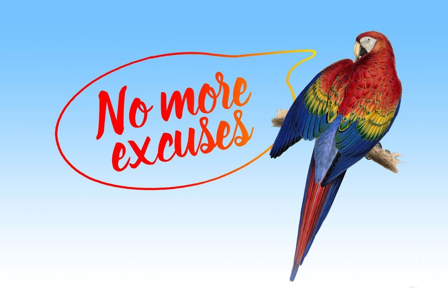 excuse-me-18487221280-compressor