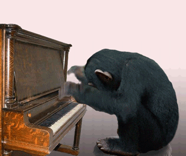 Music GIF - Find & Share on GIPHY