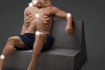 `Graham` shows how an evolved human body could survive a car accident