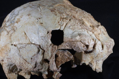 400,000-year-old cranium fossil found in Portugal&nbsp;