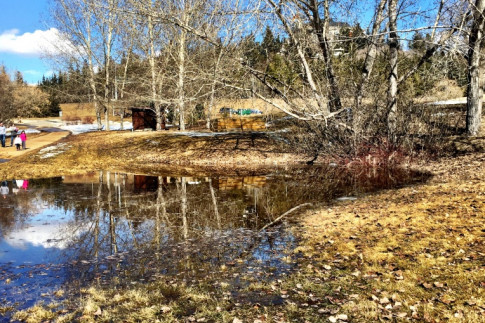 Edmonton Tourist: Government House Park