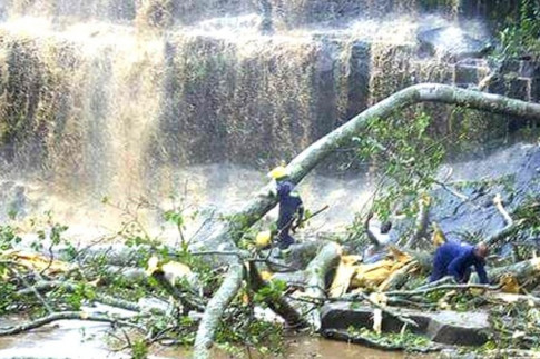 Ghana waterfall: Many dead in Kintampo freak tree accident&nbsp;