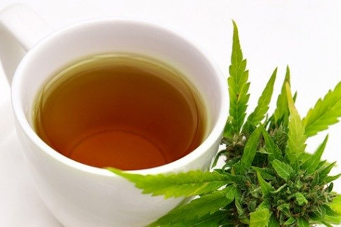 How To Make Marijuana Tea - Leaf Science