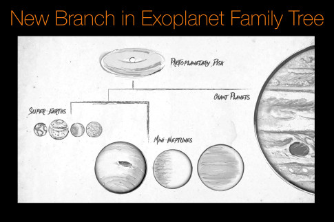 New Branch in Exoplanet Family Tree