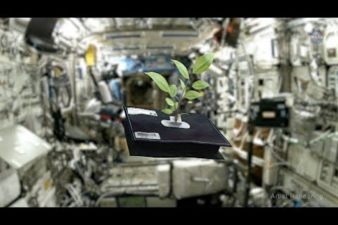 ScienceCasts: Space Gardening