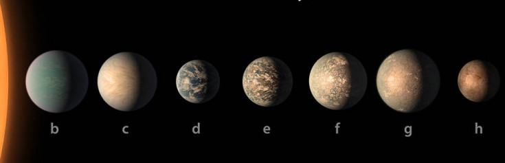 New Clues to TRAPPIST-1 Planet Compositions, Atmospheres