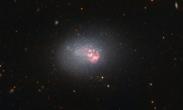 Hubble`s Compact Galaxy with Big-Time Star Formation