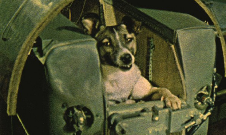 RIP, Laika: Pioneering Space Dog Launched 60 Years Ago Today