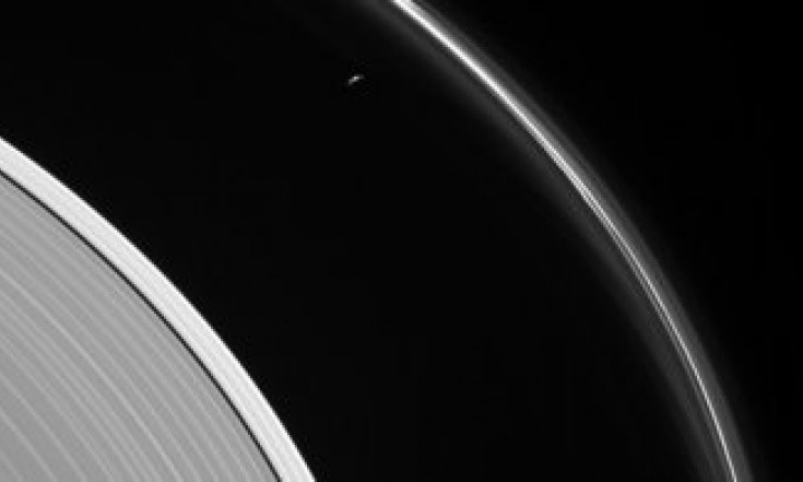 Saturn`s rings and Prometheus