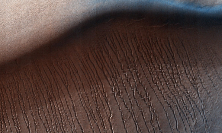 Sinuous Gullies Snake Down Sand Dune on Mars (Photo)