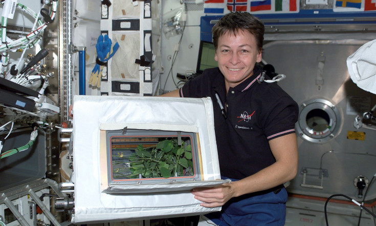 Space Gardening May Treat Astronauts` Blues