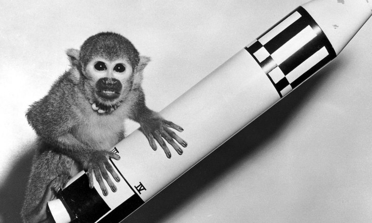Tiere sind die wahren Weltraum-Pioniere