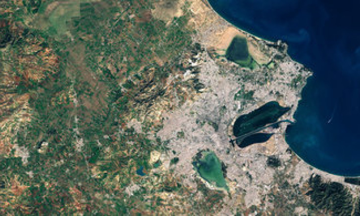 Tunis wetlands