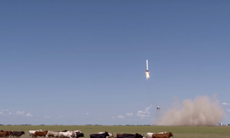 Watch SpaceX Test Reusable Rockets (and Scare Cows) in Texas Test-Site Video